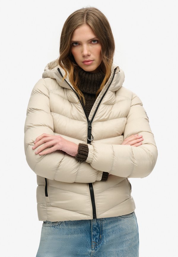 HOODED FUJI - Winterjacke - pelican beige