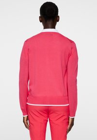 Maglione rosa lavorato a maglia con maniche lunghe e orlo a costine, caratterizzato da una striscia bianca di accento. Il materiale sembra liscio e leggero.