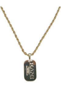 Aukso atspalvio vėrinys su apvyniotą virvę primenančia grandinėle ir stačiakampiu, graviruotu šuns ženkliuku, kuriame yra tekstas "RANI" ir papildomi duomenys.