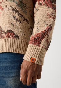 Scotch & Soda MOUNTAIN LOOSE FIT - Džemper - mountain tannin aop