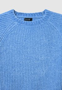 Hellblauer Strickpullover mit gerippter Textur, rundem Ausschnitt und Raglanärmeln. Das Etikett innen trägt die Aufschrift "CALLIOPE." Keine zusätzlichen Muster.