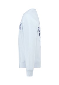 Lichtblauwe sweatshirt van zacht materiaal. Kenmerkt zich door ribgebreide mouwen en zoom, met bedrukte graphics op de voorkant en aan de linkerkant. Klassiek crewneck ontwerp.