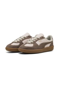 Zapatillas de ante marrón con acentos en rosa claro, que presentan un diseño de cordones y una suela de goma. Logo lateral y detalles de costura visibles.