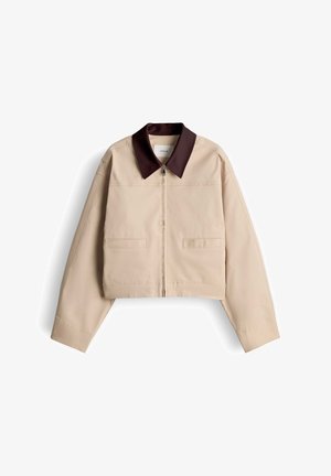 Beige jas met ritssluiting, donkerbruine puntige kraag, lange mouwen en twee voorzakken, plat gelegd op een witte achtergrond.