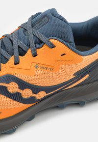 Saucony PEREGRINE 14 GTX - Scarpe da trail running - peel/shadow