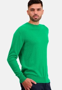 Mahogany NESTOR - Strickpullover - new green
