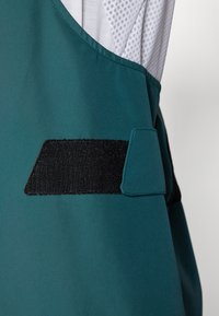 Adidas Terrex BIB - Sínadrág - aurora ivy/preloved teal
