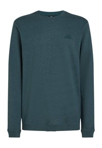 Langærmet T-shirt - alma steel