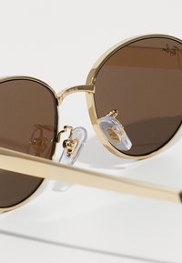 Kuldse raamiga ümmargused prillid pruunide läätsedega, läbipaistvad ninapadjad ja õhuke kuldne vars, nähtavad suures plaanis.