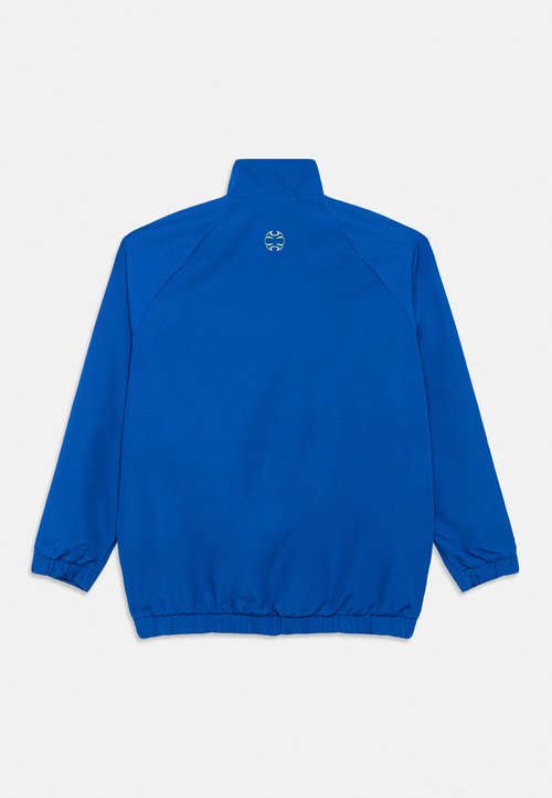 adidas TEAMGEIST LOOSE JUNIOR - Training jacket - collegiate royal/lucid lemon/grey two — photo 5