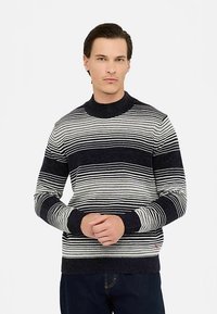 Maglione a righe in blu navy e crema, con collo alto, maglia testurizzata, polsini e orlo a coste, e un dettaglio con logo sul lato.