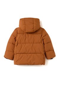 Brown puffer jacket with a hood, featuring horizontal quilting, a smooth texture, and contrasting blue cuffs. Plain back with no additional details.