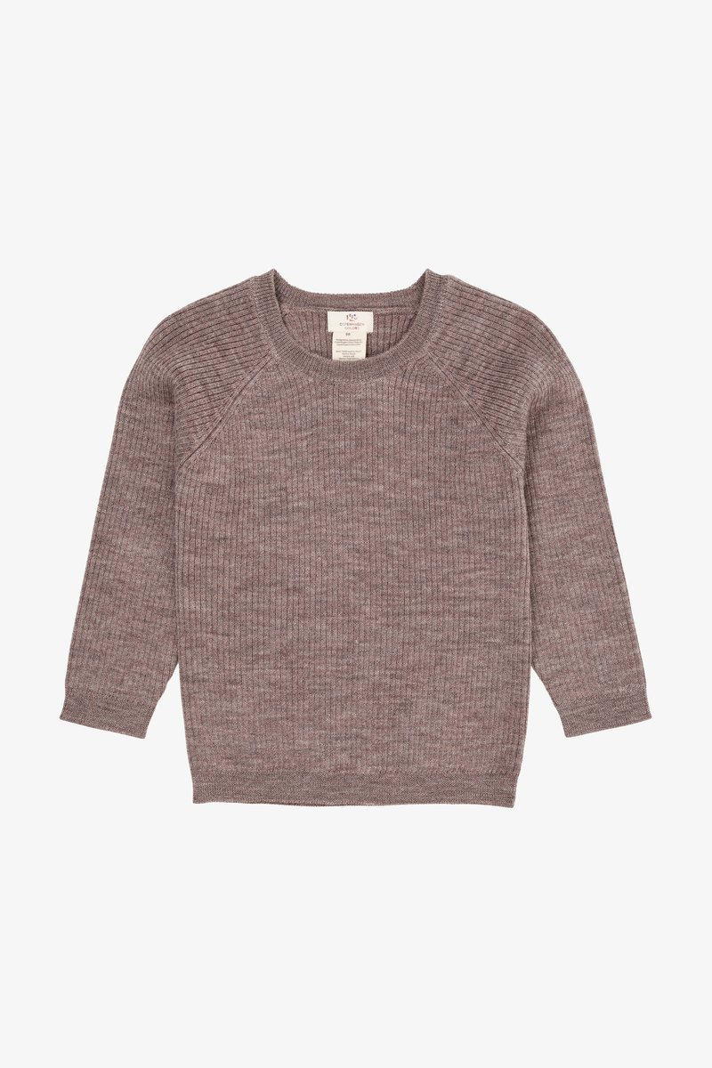 Maglione marrone lavorato a maglia con maniche raglan, texture a coste, scollatura arrotondata e un’etichetta all'interno del collo. Design piatto senza decorazioni.
