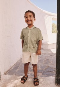 Groen gebreid shirt met korte mouwen, knoopsluiting en palmboomborduursel, gecombineerd met beige shorts en bruine sandalen op een stenen pad.
