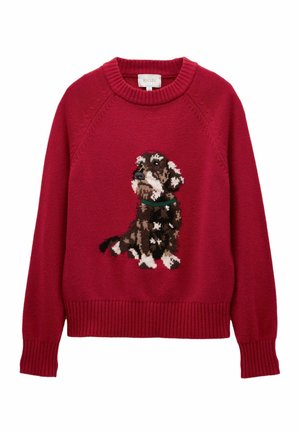 Strickpullover - dachshund dog