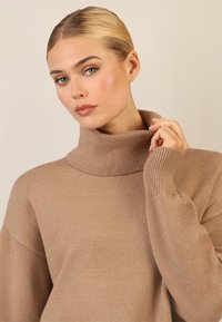 Beige Rollkragenpullover mit geripptem Kragen und Bündchen; weiche Textur, lockere Passform und lange Ärmel, mit einem dezenten Glanz.