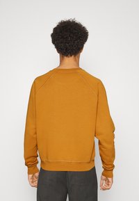 Sudadera amarilla mostaza con cuello y puños de canalé, con una textura suave y mangas raglán, vista desde atrás.