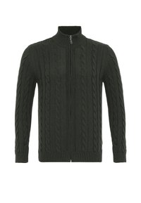 Donkergroene kabelgebreide trui met rits, hoge kraag en geribbelde manchetten, met gestructureerde patronen aan de voorkant en zijkanten.