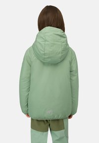 Giacca isolata verde menta con cappuccio, caratterizzata da una texture liscia e un dettaglio del logo sull'orlo. La vista dal retro mostra un design senza cuciture.