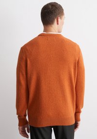 Oranger Strickpullover mit strukturiertem Finish, gerippten Bündchen und Saum, Rundhalsausschnitt und lässiger Passform, von hinten gezeigt.