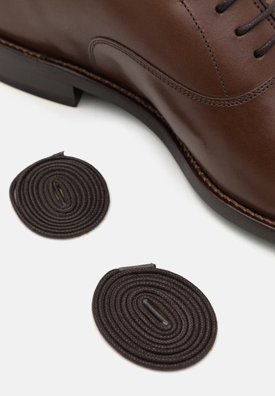 Chaussure habillée en cuir brun avec un bout rond, surface lisse et détails de couture subtils ; accompagnée de deux lacets marron foncé enroulés à côté.