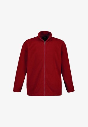 JP1880 STEHKRAGEN REISSVERSCHLUSS - Fleece jacket - deep purple
