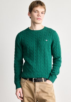 CABLE C NECK - Πουλόβερ - deep forest green