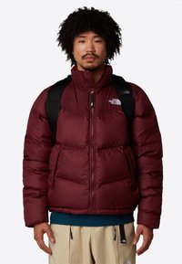 Burgundy insulated puffer jacket with a high collar, zip closure, side pockets, and the North Face logo on the chest. Worn over a blue top.