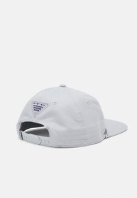 Gray baseball cap with a flat brim. Features a triangular blue logo patch on the back and an adjustable plastic snap closure.
