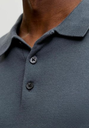 Jack & Jones, KNITTED POLO PLUS SIZE KNITTED POLO - Langærmet T-shirt - turbulence