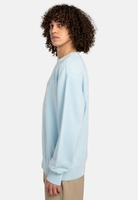 Lyseblå crewneck sweatshirt med lange ærmer, ribbede manchetter og en afslappet pasform. Glat tekstur med diskrete syningsdetaljer.