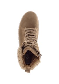 Botín de ante marrón con puntera redonda, diseño con cordones y forro interior suave. Presenta una suela texturizada y detalle de cremallera lateral.