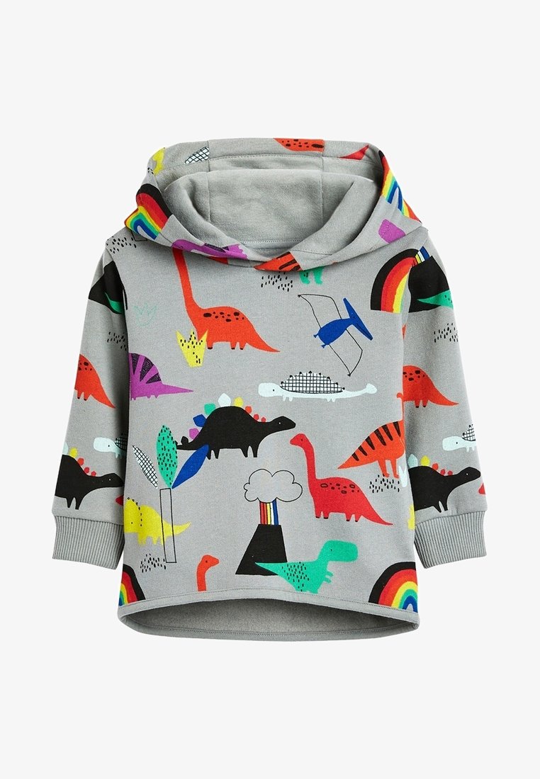 Sweat à capuche gris avec motifs colorés de dinosaures et d'arcs-en-ciel, confectionné en tissu doux avec une coupe décontractée et des poignets côtelés.