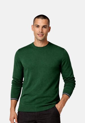 Mann mit kurzen Haaren, der einen dunkelgrünen Rundhalspullover und schwarze Hose trägt und mit einer Hand in der Tasche vor einem einfarbigen Hintergrund steht.