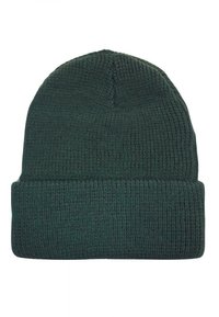 Goorin Bros ANIMAL PETCH - Berretto - green white