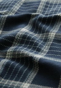 Next Jupe trapèze - navy check print