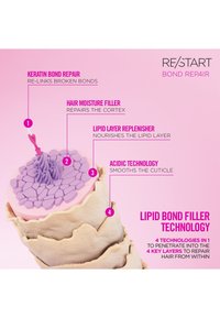 Querschnitt eines Haares, der vier Reparaturtechnologien zeigt: Keratinbindung-Reparatur, Haarfeuchtigkeitsfüller, Lipidschicht-Auffrischer und saure Technologie.