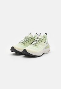 Salomon ELIXIR ACTIV GTX  - Túracipők - celadon green/glacier gray/phantom