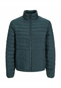 JJESTATE PACKABLE PUFFER COLLAR NOOS - Jachetă de iarnă - magical forest