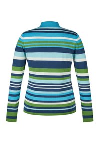 Langärmliger Rollkragenpullover mit horizontalen Streifen in Blau, Grün, Weiß und Marineblau, von hinten gezeigt.