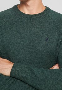 Uomo che indossa un maglione di lana a collo alto verde scuro con un piccolo logo di un uccello nero sul petto, con le braccia incrociate, tagliato all'altezza del collo e della vita.