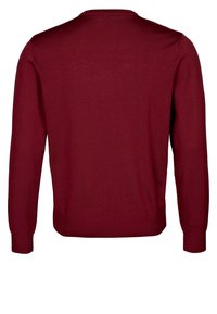 Einfärbig bordeauxroter Pullover mit langen Ärmeln, gerippten Bündchen und Saum, von hinten dargestellt, ohne sichtbare Logos oder Muster.