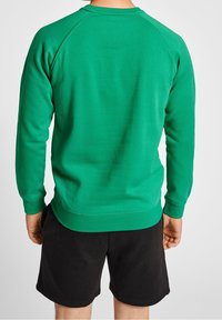 Felpa verde con scollatura rotonda e maniche lunghe. Tessuto liscio, polsini a coste e orlo curvo. Abbinata a pantaloni corti neri.