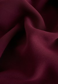 Next SHORT SLEEVE RUCHED-REGULAR FIT - Robe de jour - burgundy