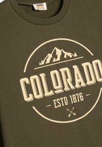Olivgrüner Pullover mit Rundhalsausschnitt, versehen mit einem beigen kreisförmigen Grafikdesign, das Berge und den Text "COLORADO ESTD 1876" sowie gekreuzte Pfeile zeigt.
