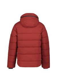 Rote Daunenjacke mit horizontalen Nähten und angebauter Kapuze, von hinten auf einem weißen Hintergrund gezeigt.