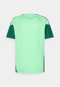 Αθλητική μπλούζα ελαφρού πράσινου χρώματος με σκούρους πράσινους τόνους στα μανίκια και στις πλευρές. Φτιαγμένη από απαλό, ελαφρύ ύφασμα. Χωρίς ορατά σχέδια ή λογότυπα.