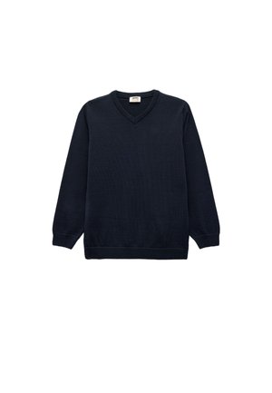 Pullover - blue