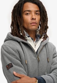 Grijze zip-up hoodie met een zachte textuur, voorzien van een gevoerde capuchon, geribde manchetten, gouden rits hardware en een label op de linkermouw.