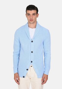 Cardigan lavorato a maglia di un blu chiaro, con colletto a scialle, bottoni frontali e polsini a costine. Presenta un motivo testurizzato e una vestibilità rilassata.